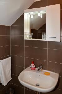 a bathroom with a sink and a mirror at Guesthouse Pink Panther in Udbina