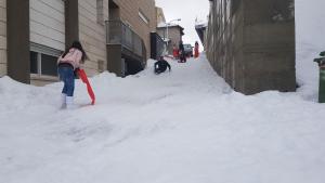 Snow View Suite סוויטת סנו וויו talvel