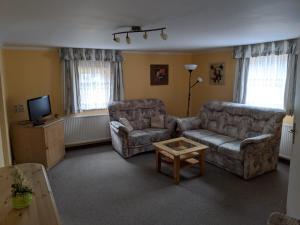 ein Wohnzimmer mit einem Sofa, einem Stuhl und einem TV in der Unterkunft Pension "Alte Mühle" in Voigtsdorf