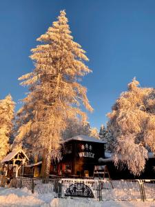 上維森塔爾溫泉鎮的住宿－Waldeck Oberwiesenthal，相簿中的一張相片