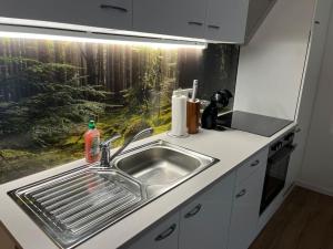Kuchyňa alebo kuchynka v ubytovaní Gemütliches 4er Apartment in Skilift-Nähe