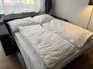 Un pat sau paturi într-o cameră la Gemütliches 4er Apartment in Skilift-Nähe