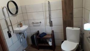 uma casa de banho com um WC e um lavatório em Mała Chatka domek Zator Oświęcim em Polanka Wielka