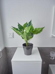 Fotografie z fotogalerie ubytování Ferienwohnung zur lustigen Gabi v destinaci Thiersee