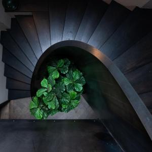 a staircase that has a bunch of green plants in it at Nonam Boutique Hotel in Ghent