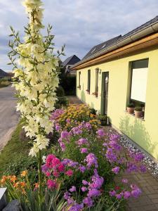 un giardino di fiori di fronte a una casa di Ferienwohnung Feldberger Seen a Feldberg