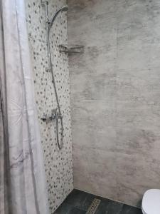 a shower with a shower curtain in a bathroom at Апартамент (Студио) Тони in Veliko Tŭrnovo +4 photos