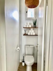 a bathroom with a white toilet and shelves at Bel appartement rénové, centre de Vannes in Vannes