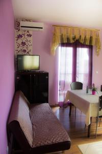 TV a/nebo společenská místnost v ubytování Apartments Tomisa