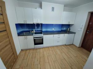 Kuchyňa alebo kuchynka v ubytovaní Apartamenty Kapitanskie