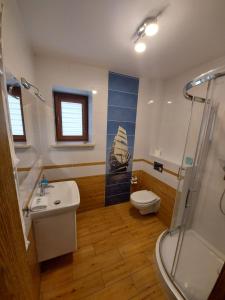 uma casa de banho com um lavatório, um WC e um chuveiro em Apartamenty Kapitanskie em Iława
