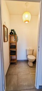 a bathroom with a toilet and a chandelier at A 2 PAS DU LAC - WIFI - Garage - Netflix - Disney+ - Lac in Sévrier +23 photos