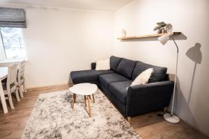 ein Wohnzimmer mit einem schwarzen Sofa und einem Tisch in der Unterkunft Cabin Guesthouse in Pärnu