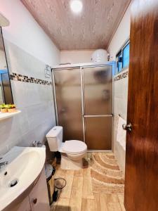 a bathroom with a shower and a toilet and a sink at Monoambiente en Durazno in Durazno