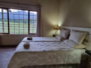 a bedroom with a large bed with a large window at Plain Champagne Guest Farm in Winterton
