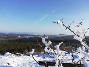 a snow covered tree on top of a mountain at Fewo bei Reuters - Haus Tellkoppe in Waldidylle