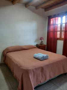 1 dormitorio con 1 cama con manta marrón en Amaru Apart en La Consulta