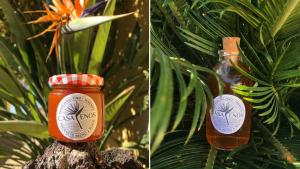 a bottle of honey sitting on top of a tree branch at Casa Enos - Ocean view Apartments Tenerife South in Granadilla de Abona