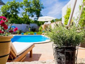 Bazén v ubytování Villa Kažun with private pool and two gardens nebo v jeho okolí