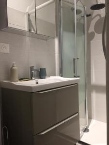 une salle de bain avec lavabo et douche dans l'établissement La Bulle, à Châlons-en-Champagne