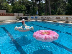 Bazén v ubytování G&D Hotel Deanna Pool&Brunch nebo v jeho okolí