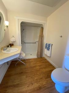 a bathroom with a sink and a toilet and a shower at The Water's Edge Inn & Gallery in Baddeck