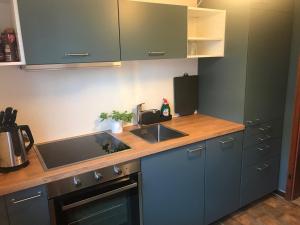 Η κουζίνα ή μικρή κουζίνα στο Ferienwohnung Alpsteinweg +5 φωτογραφίες