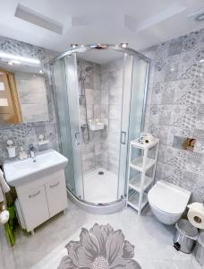 a bathroom with a shower and a toilet and a sink at Apartament Jagodzianka Biały Dunajec in Biały Dunajec