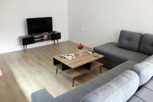 TV a/nebo společenská místnost v ubytování Spacious modern apartment Kisela Voda