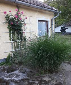 uma casa com um plantador de flores ao lado dela em Aranyodi Pihenő em Zalaszentgrót