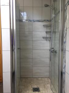 a shower with a glass door in a bathroom at Apartment Fernblick in Glein