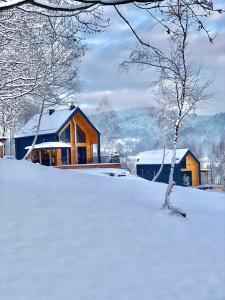 a log cabin in the snow with a tree at Czill-Lokum- klimatyczna chata w Beskidach z balią i sauną in Maków Podhalański