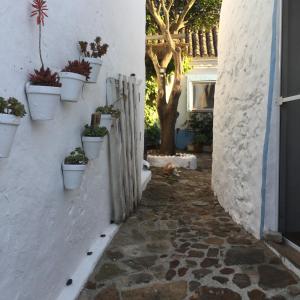 Zdjęcie z galerii obiektu Encanto Rural con Jardín privado y Chimenea w mieście Facinas