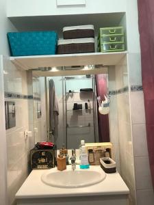 Un baño con lavabo y una litera. en Le Dakar - T2 avec Parking offert, en Toulouse