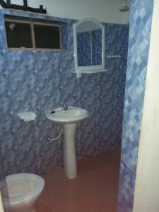 ein Bad mit einem Waschbecken und einem WC in der Unterkunft Le Figuier in Pointe-Saint-Georges