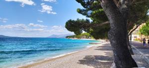 een strand met een boom naast het water bij Apartman Mare in Makarska