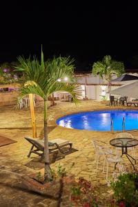 a palm tree next to a swimming pool at night at Hotel Santos De Piedra - MARANATHA BARICHARA in Barichara
