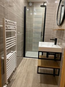 a bathroom with a sink and a shower at LE VERTBRUCHE - Gîte avec superbe vue pour 15 pers in La Bresse +48 photos
