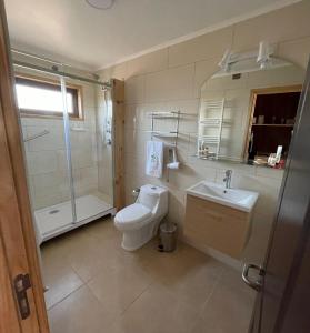a bathroom with a toilet and a sink and a shower at Cabañas Las Lengas in Puerto Natales