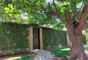 um edifício com uma sebe e uma porta ao lado de uma árvore em Moderno departamento para dos personas en Chacras de Coria em Chacras de Coria