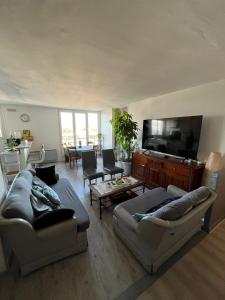 希利馬札蘭的住宿－Grand appartement proche de Paris，客厅配有2张沙发和1台平面电视