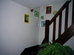 Fotografie z fotogalerie ubytování Pension Casa Anadam v destinaci Băile Herculane + 37 fotografií