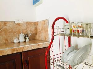 Φωτογραφία από το άλμπουμ του Jungle View Guesthouse Unawatuna σε Unawatuna +46 φωτογραφίες