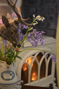 Gambar di galeri bagi Hideaway at Foxhollow di Kells