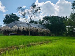 a grass roofed hut in a field of green grass at Mallara RestSafari (Cabana & Family Restaurant) in Malasnegalewewa