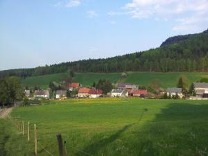 Příroda nedaleko apartmánu