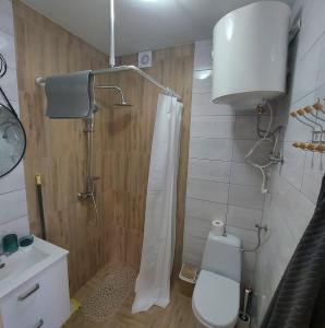 a bathroom with a shower with a toilet and a sink at Domek Zacisze Gór Słonnych in Tyrawa Wołoska +16 photos