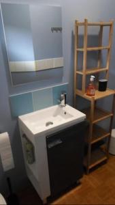 een badkamer met een wastafel en een spiegel bij Le gite du Mont in Val Couesnon