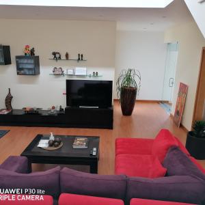 sala de estar con sofá rojo y TV en Espaço Roteiro de Mimos, en São Vicente Ferreira