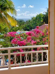 a balcony with pink flowers and a palm tree at STUDIO 1015 in Sainte-Anne